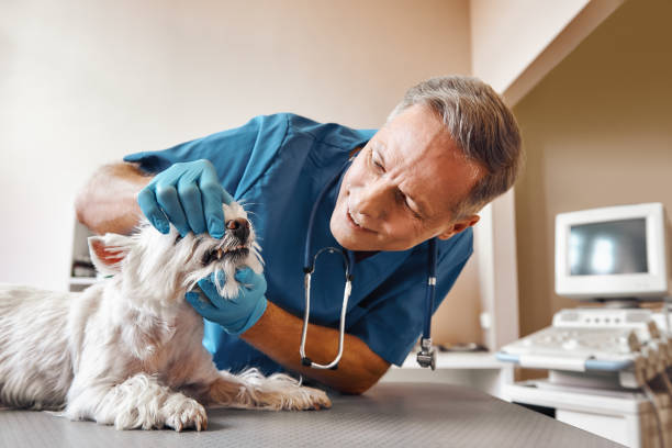 Best Emergency Tooth Extraction in Altamonte Springs, FL